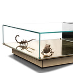 Luxury Coffee Table Set with Marble, Glass & Sculptural Gold Brass Design