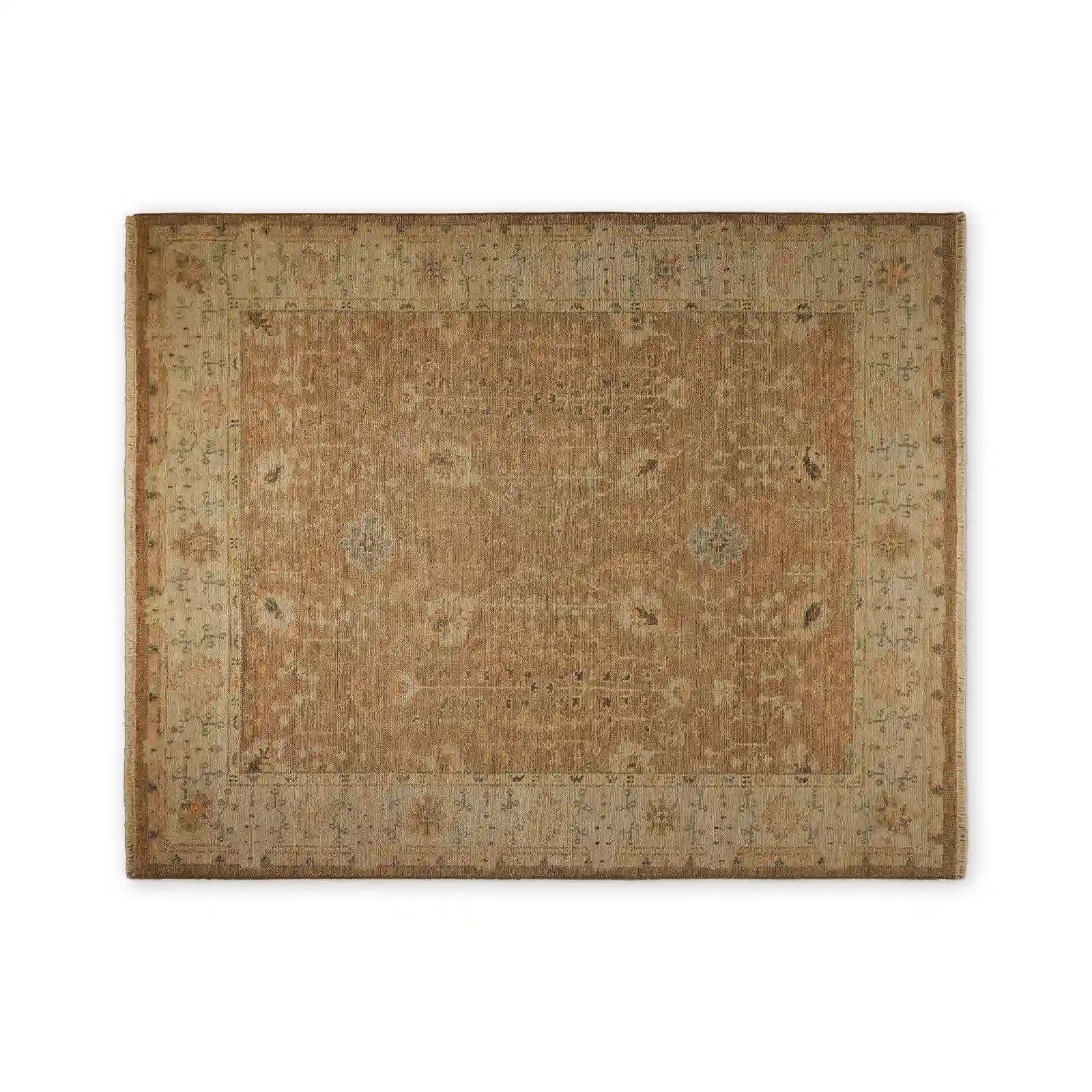 Asphyn Hand-Knotted Area Rug from 100% Wool Carpet Old-Fashioned Style Full of Stories