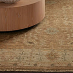 Asphyn Hand-Knotted Area Rug from 100% Wool Carpet Old-Fashioned Style Full of Stories