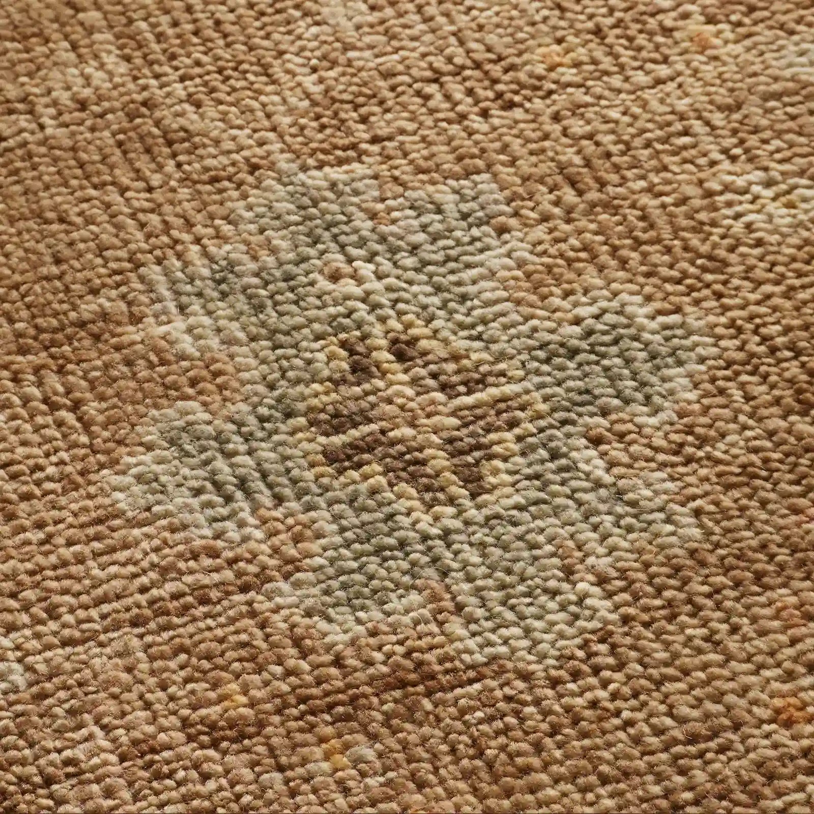 Asphyn Hand-Knotted Area Rug from 100% Wool Carpet Old-Fashioned Style Full of Stories