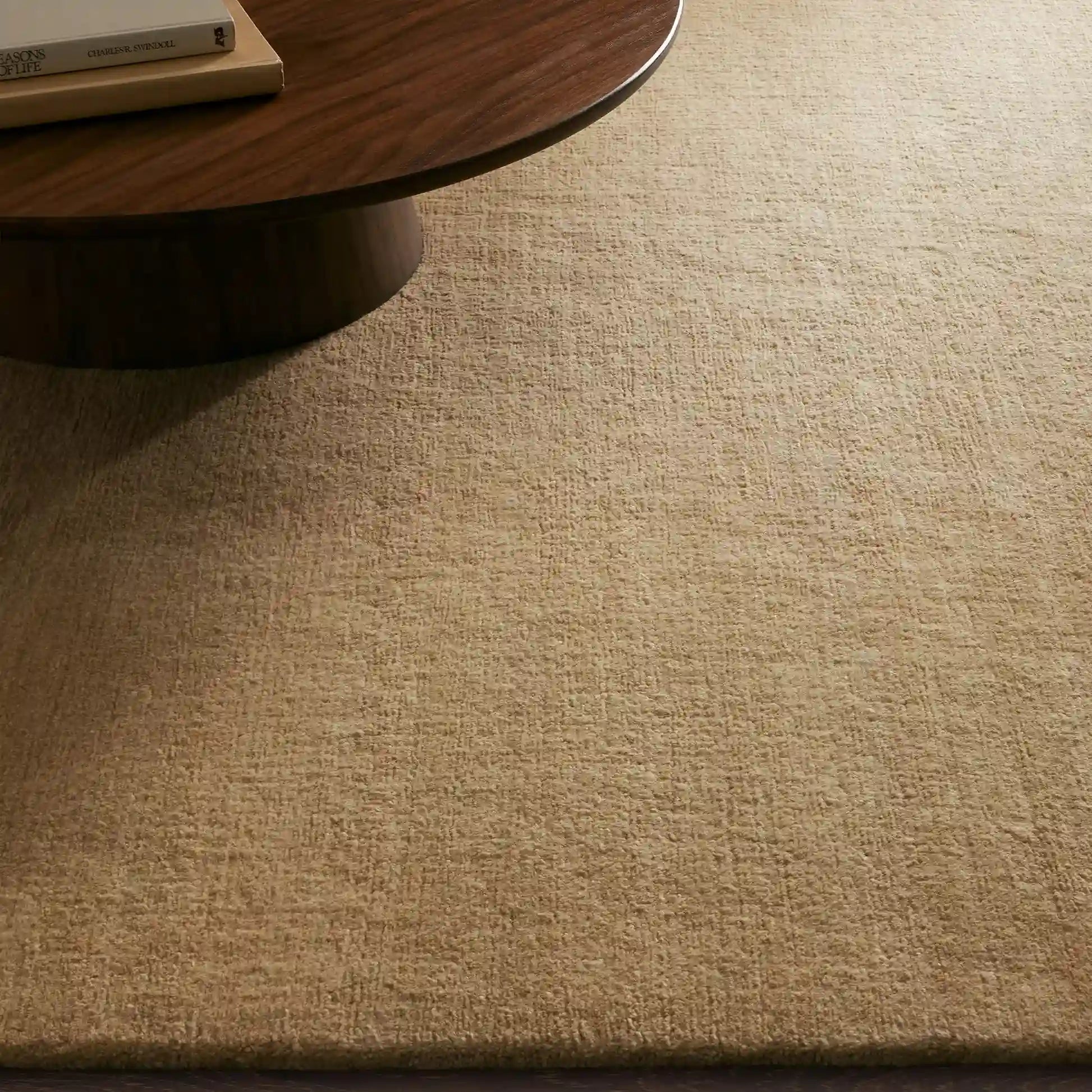 Cashmere Blend Hand-Knotted Wool Area Rug Soft & Durable Plush Carpet Modern Minimalist Solid Color Textured Style