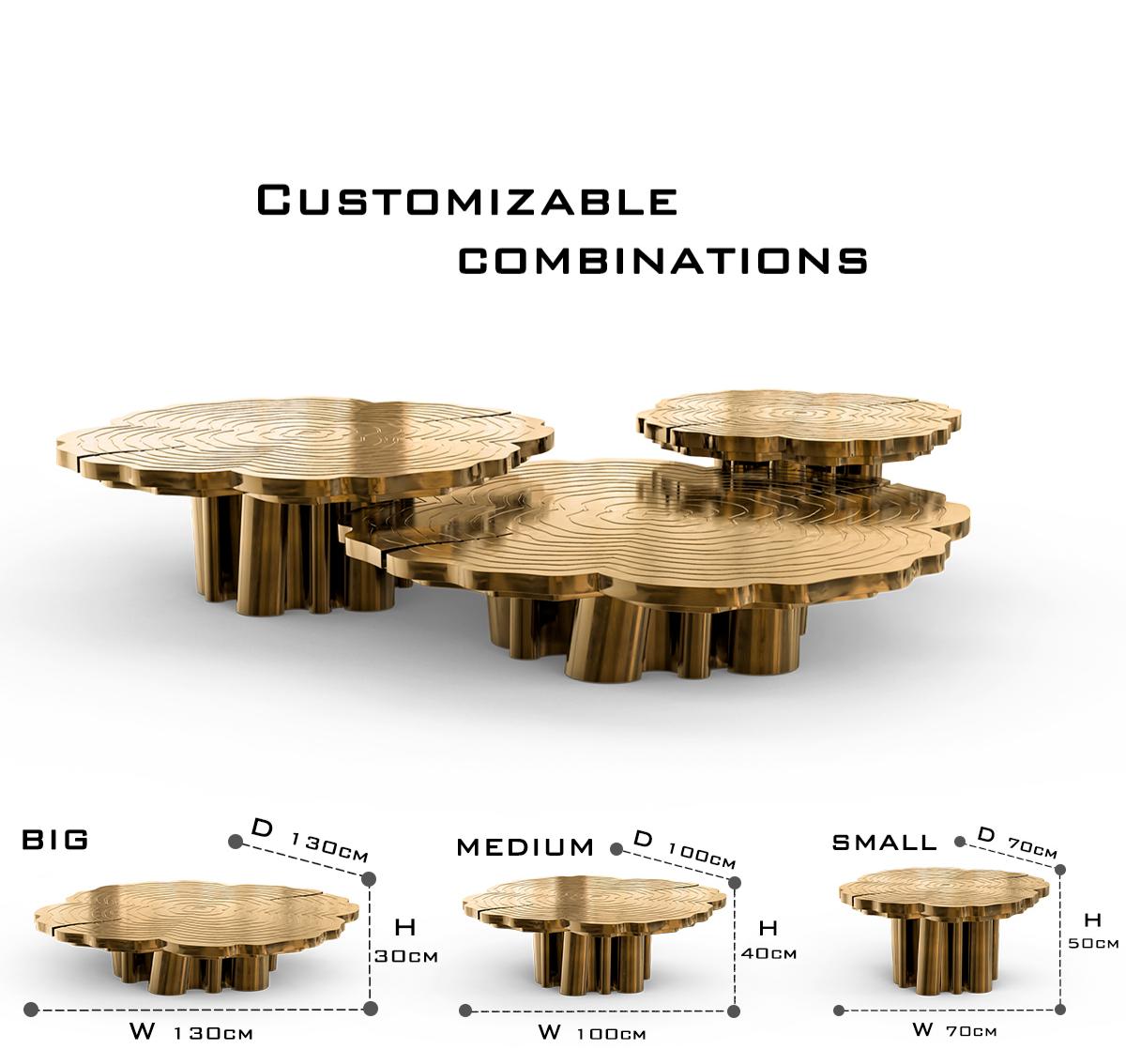 Luxury Patina Brass Coffee Table Set with Round Tiered Tops & Statement Design
