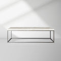 Arielle Rectangle Coffee Table with Fossilized Clamshell Top Iron Base Sofa Center Tea Table