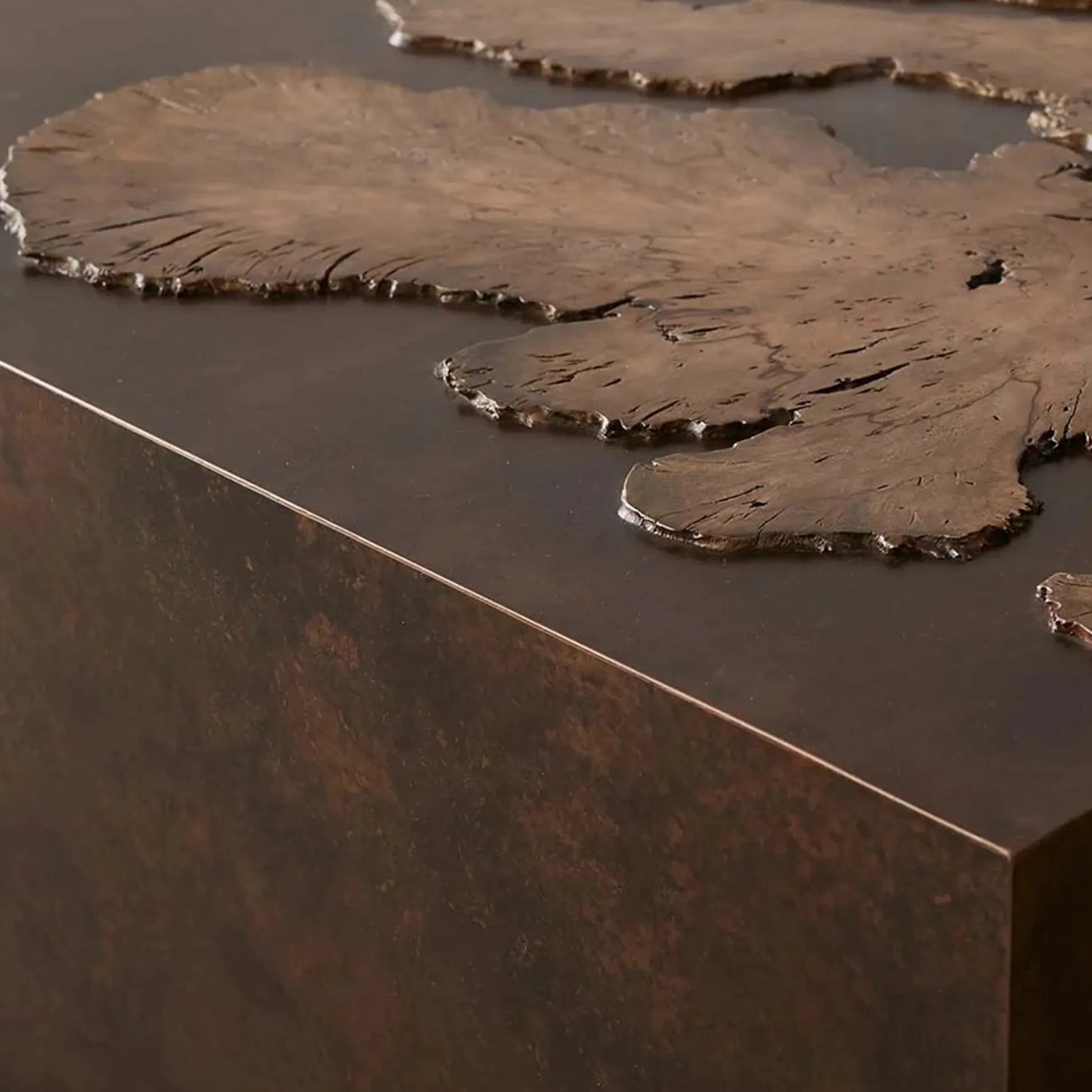 Table basse Obra Salvaged Burl avec bois de broussin Milpa et base en acier, table de centre de salon, table de cocktail