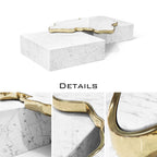 Luxury Black & White Coffee Table with Sculptural Design & High Gloss Finish