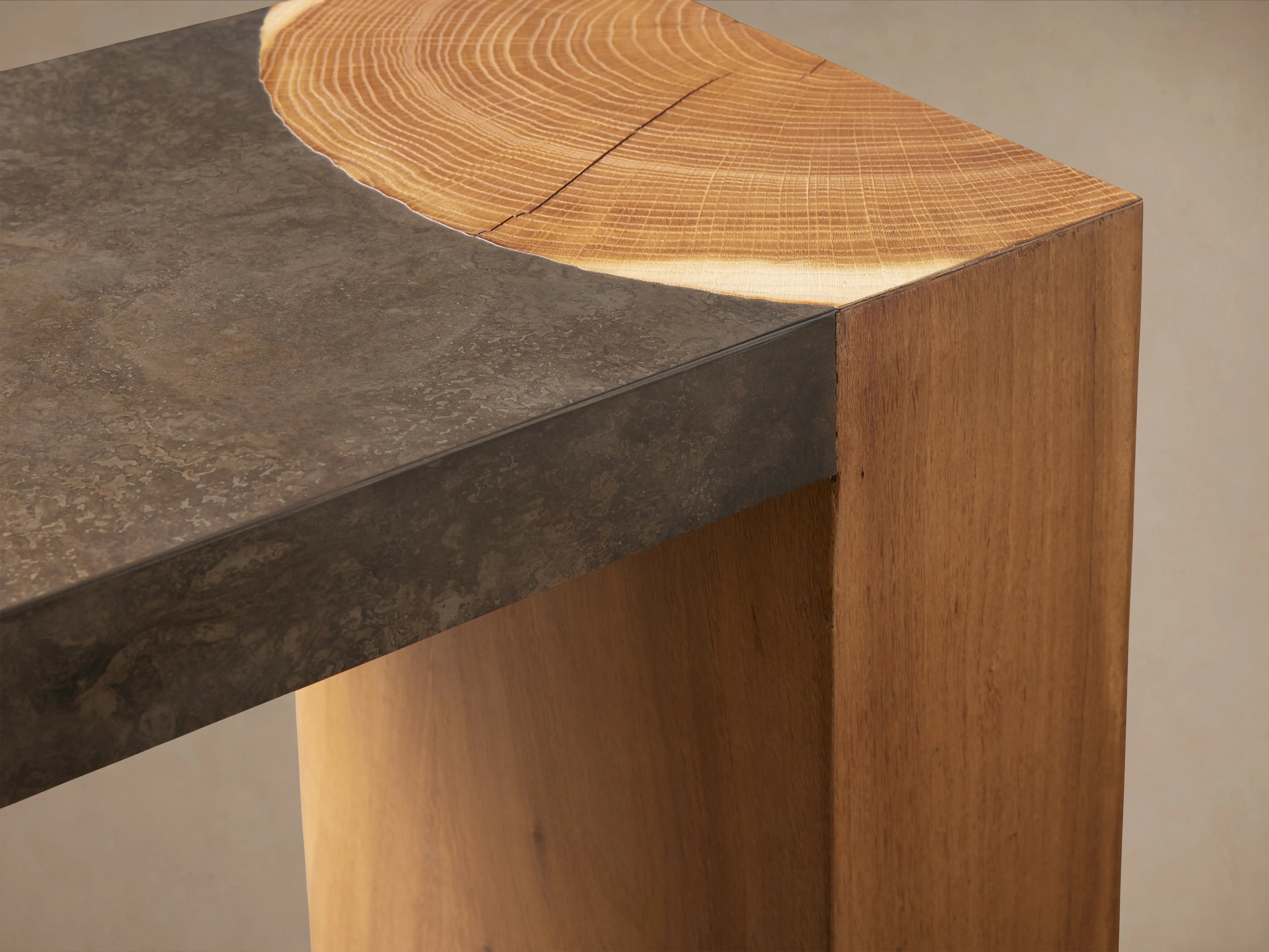 Acacius Steel Wood Console Table with Natural Materials Entryways Entrance Table
