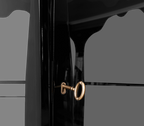 Luxury Mahogany Display Cabinet with Smoked Glass Panels & Curio Storage