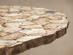 Petra Round Dining Table with Petrified Wood/Natural Stone and Iron Base