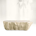 Clayhill Irregular Shape Coffee Table Petrified Wood Cocktail Table Unique Nature Sofa Center Tea Table