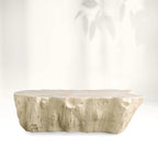 Clayhill Irregular Shape Coffee Table Petrified Wood Cocktail Table Unique Nature Sofa Center Tea Table