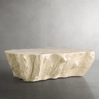 Clayhill Irregular Shape Coffee Table Petrified Wood Cocktail Table Unique Nature Sofa Center Tea Table