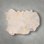 Clayhill Irregular Shape Coffee Table Petrified Wood Cocktail Table Unique Nature Sofa Center Tea Table
