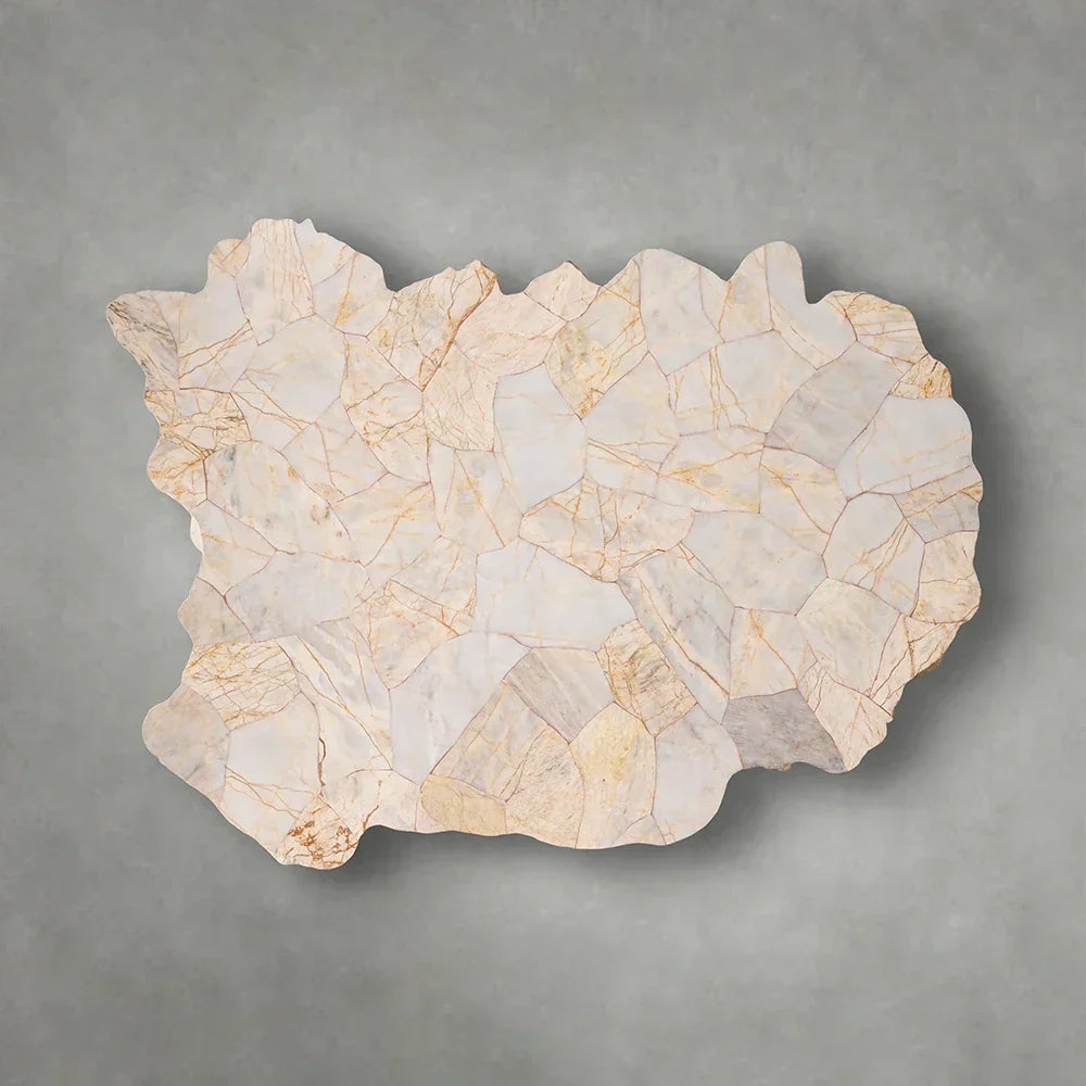 Clayhill Irregular Shape Coffee Table Petrified Wood Cocktail Table Unique Nature Sofa Center Tea Table
