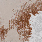 Melade Earthwash Abstract Multitone Area Rug Earth Tones & Relaxed Handcrafted Feel Carpet