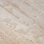 Shanluan Soft Veiled Texture Neutral Area Rug Minimalist Nordic Style Carpet Soft Veiled Texture Style
