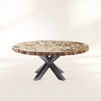 Petra Round Dining Table with Petrified Wood/Natural Stone and Iron Base