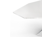 Bonsai Dining Table with Minimalism & Personalized Faceted Dining Table