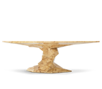 Bonsai Dining Table with Minimalism & Personalized Faceted Dining Table