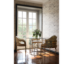 Chandra Cutout Polished Brass Velvet Dining Chair
