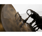 Metamorphosis Consoles Patina Brass Sculptural Entryways Cabinet Table
