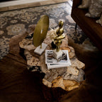 Clayhill Irregular Shape Coffee Table Petrified Wood Cocktail Table Unique Nature Sofa Center Tea Table